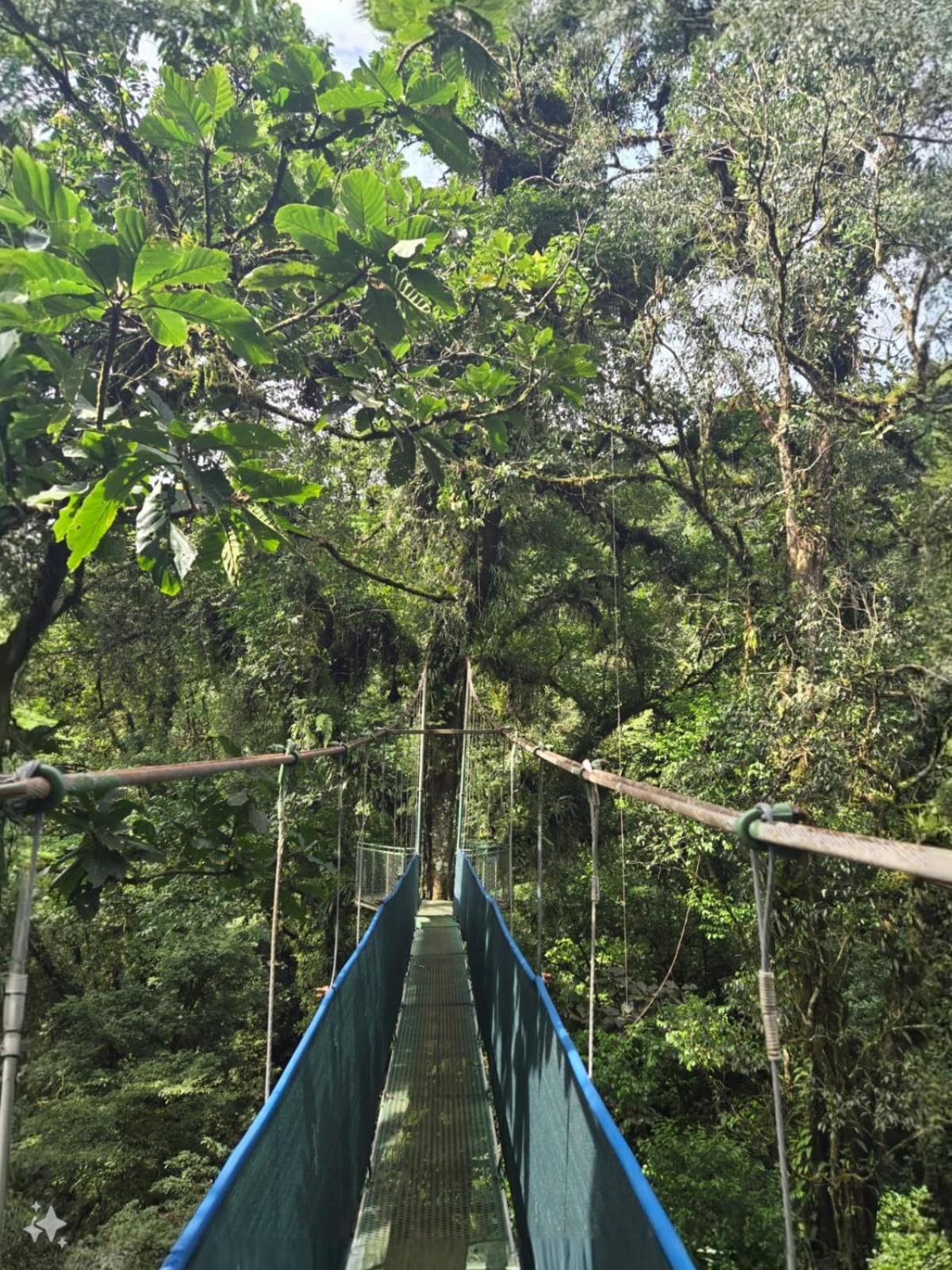 Heliconias Rainforest Lodge Bijagua Dış mekan fotoğraf