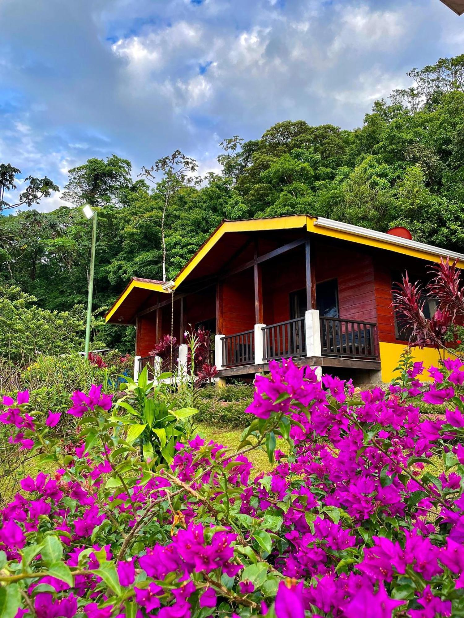 Heliconias Rainforest Lodge Bijagua Dış mekan fotoğraf