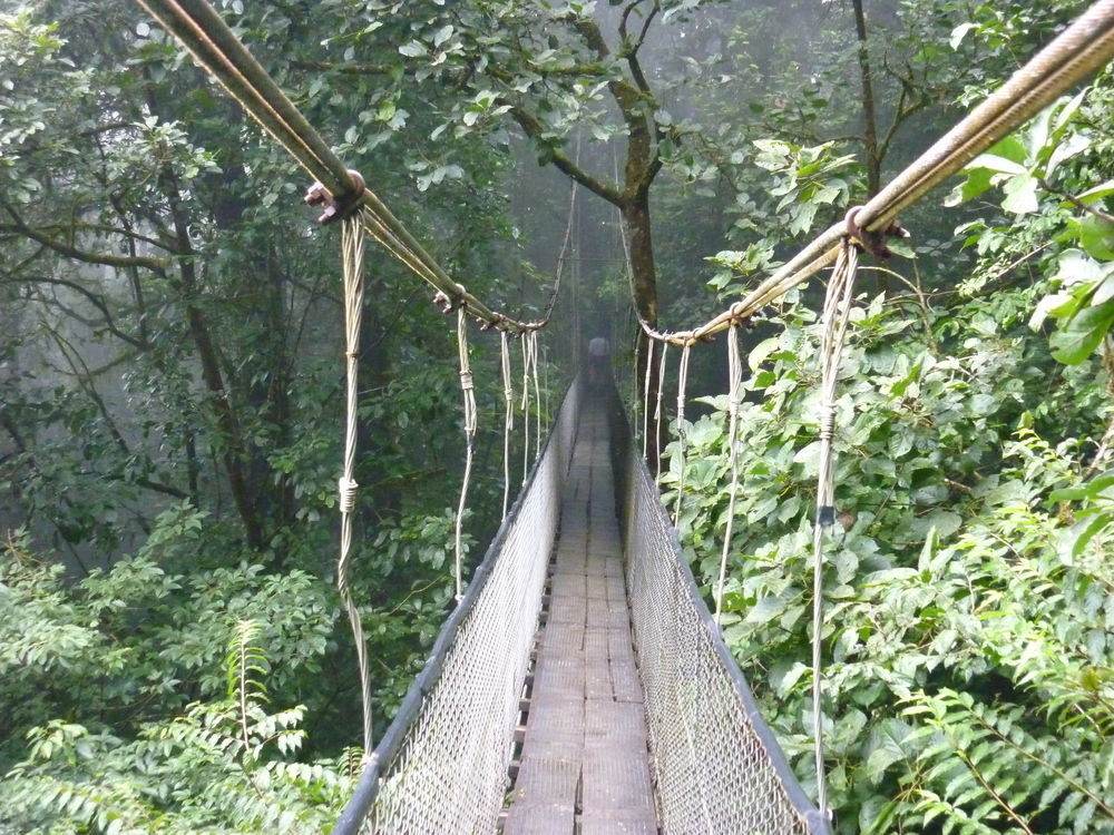 Heliconias Rainforest Lodge Bijagua Dış mekan fotoğraf